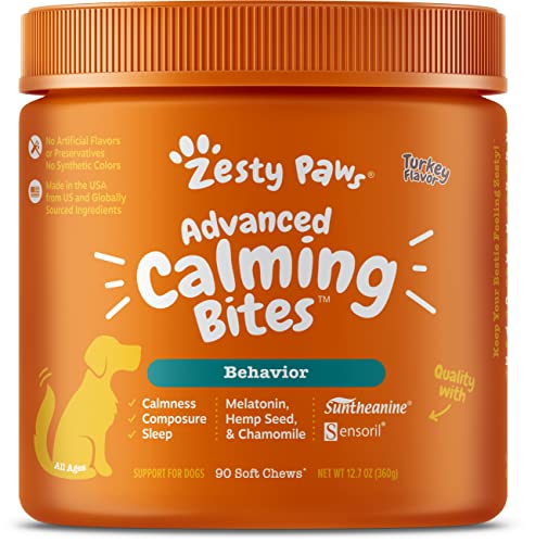 Do Calming Treats for Dogs Really Work? 2