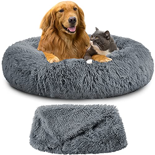 Dog in OXS calming donut bed