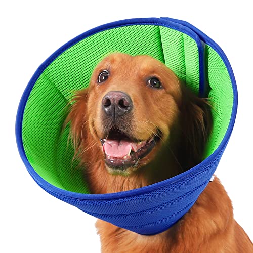 dog wearing extra soft alternative cone in green and blue