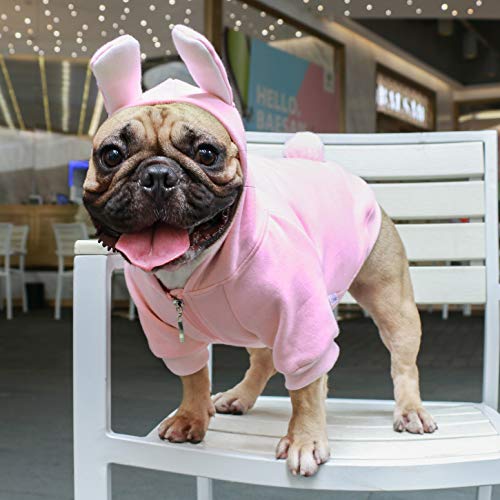small bulldog wearing pink bunny hooded sweatshirt with ears and tail