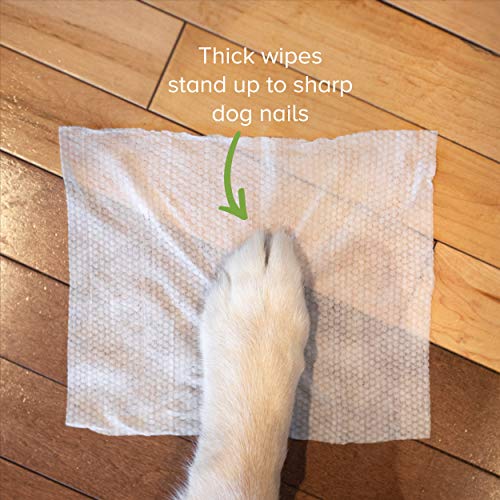 paw on wipe on top of hardwood floor