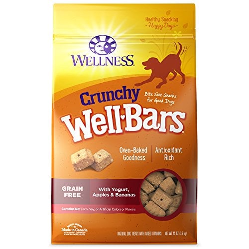 Crunchy Wellbars with Yogurt, Apples & Bananas