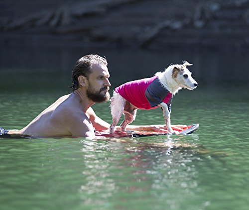 Dog in sun shirt on paddle board