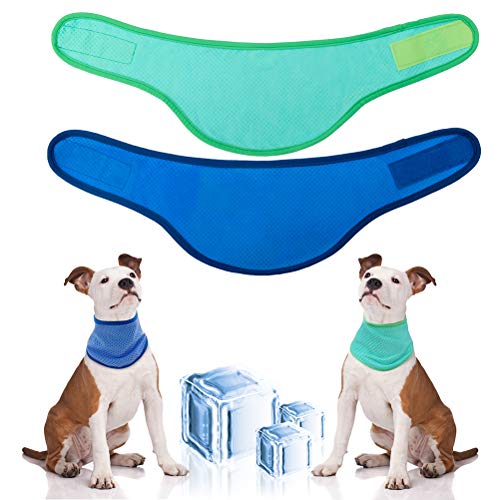 The Best Dog Cooling Vests and Bandanas To Cool Down a Hot Dog