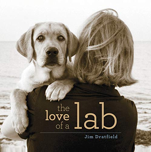 Labrador Dog Lover DOG048LABF01 Labrador Gift Circle Of Trust Lab Gift Labrador Shirt Labrador Lover Labrador Lover Gift