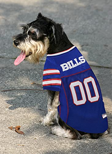 Dog wearing NFL jersey for Buffalo Bills