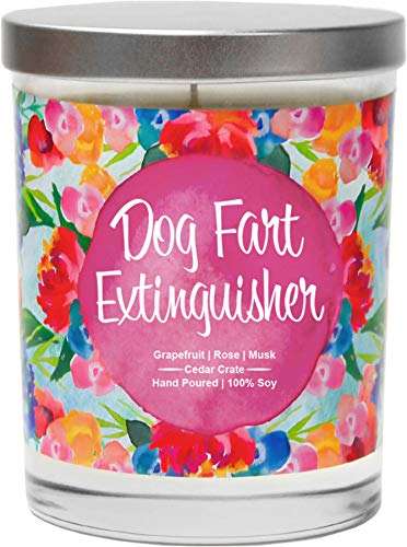 Dog fart extinguisher