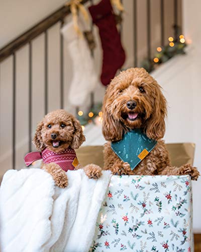 Two dogs in festive bandanas sit with their paws on packages
