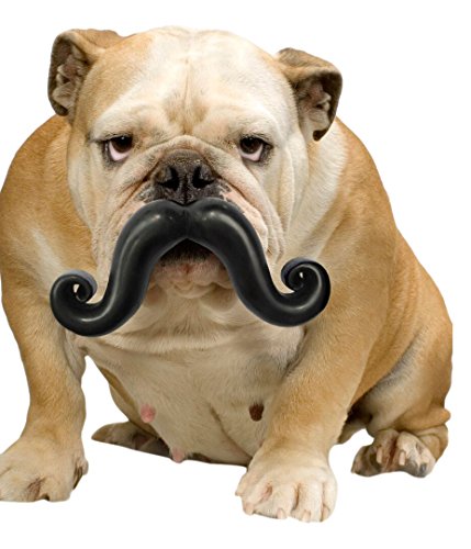 small dog ball mustache gift for dog owners