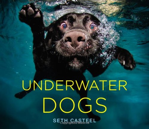 Underwater Dogs book by Seth Casteel