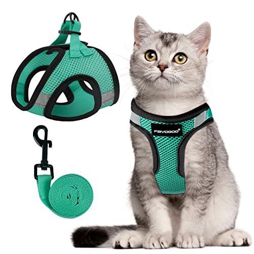 Cat Harness and Leash set
