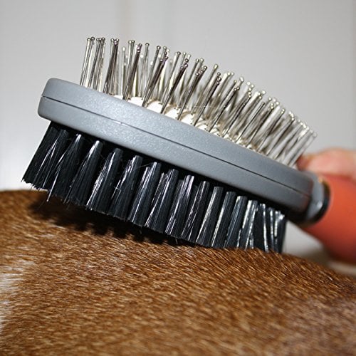 GoPets Professional Double-Sided Pin and Bristle Brush