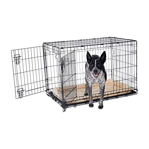 Best Medium Dog Crates Top Picks For Your Pup