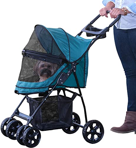 person standing with blue dog stroller with pup inside