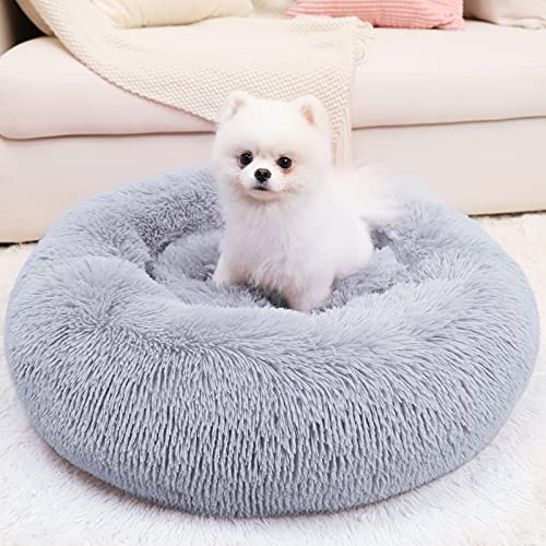 Small dog in gray Wayimpress bed