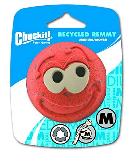 Recycled Remmy Chuckit toy for dogs