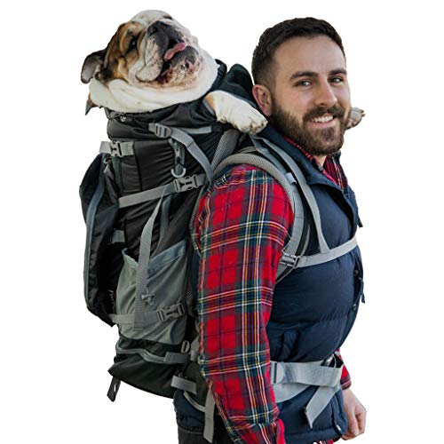 man carrying large bulldog in K9 Sport Sack Rover 2 Dog Carrier Backpack 