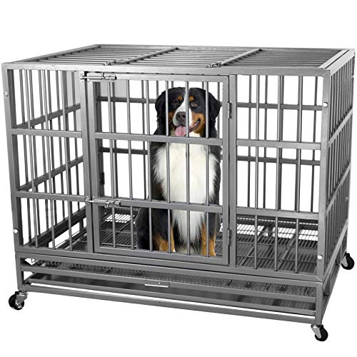 Best Medium Dog Crates Top Picks For Your Pup