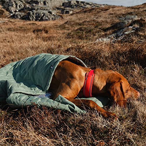 dog sleeping outside in Hurtta Outback Dreamer Dog Sleeping Bag