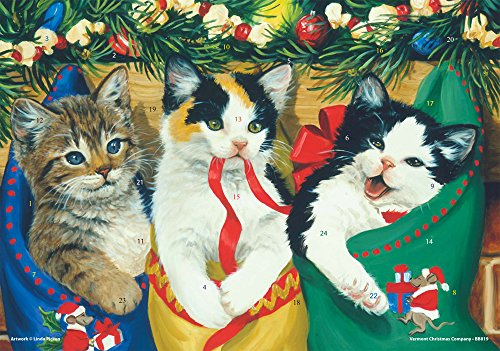 Advent calendar featuring three cats in Christmas stockings