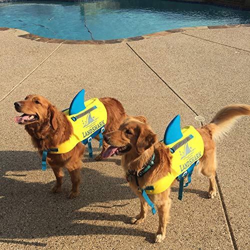 Two dogs in landshark life jackets