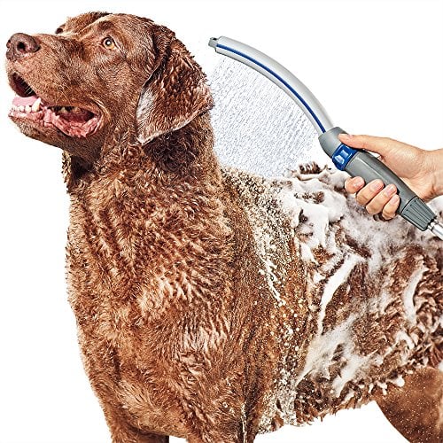 Dog waterpik shower attachment head