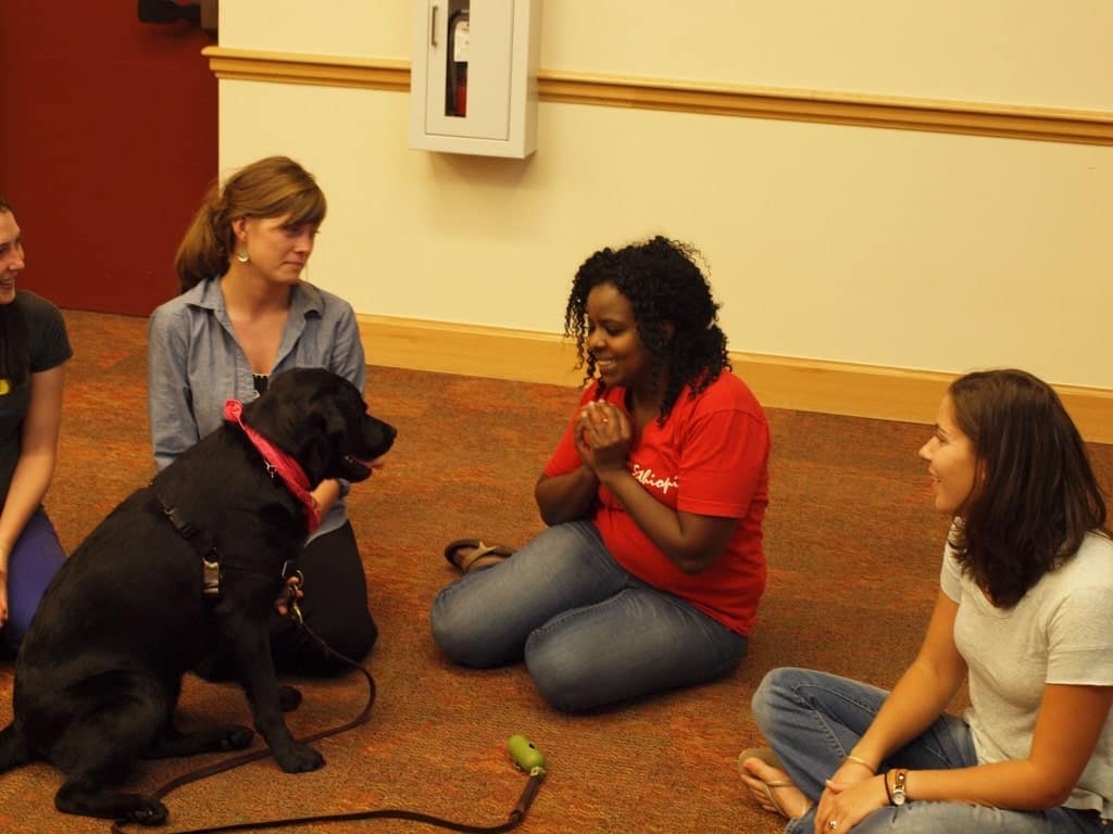 Student smiles at a therapy dog