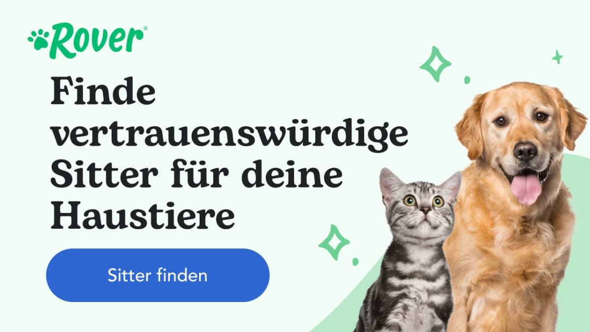 Wann Hundewelpen von der Mutter trennen?