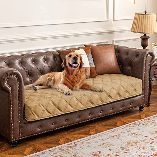 Pet-Proofing Furniture: Comfort Works Leather Sofa Cover - The