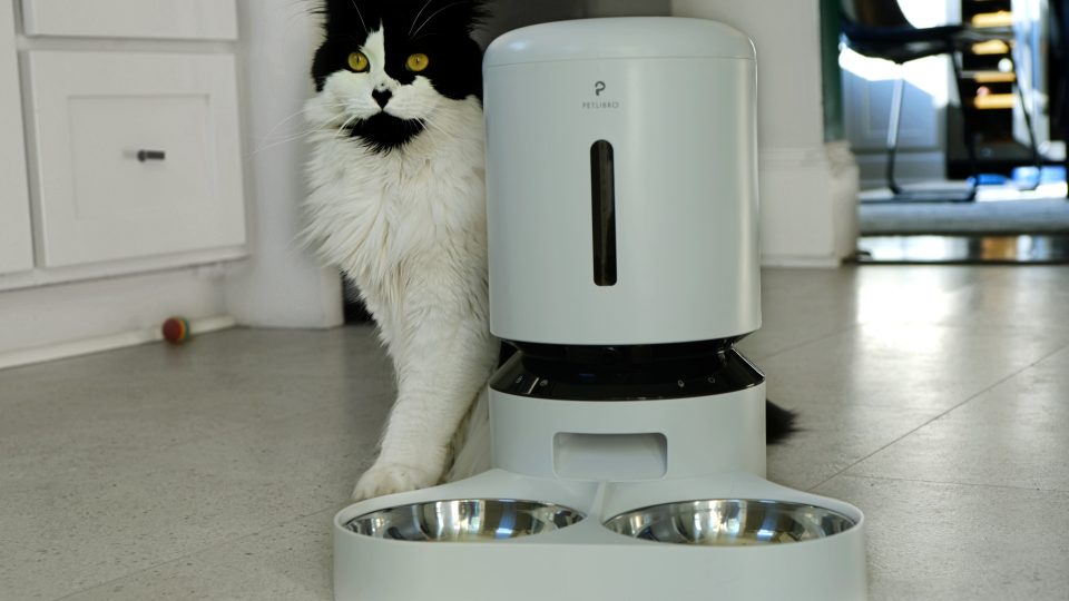 Tuxedo cat sitting next to an automatic cat feeder