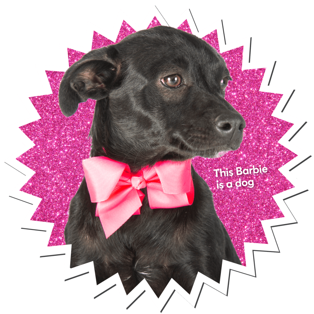 barbie dog