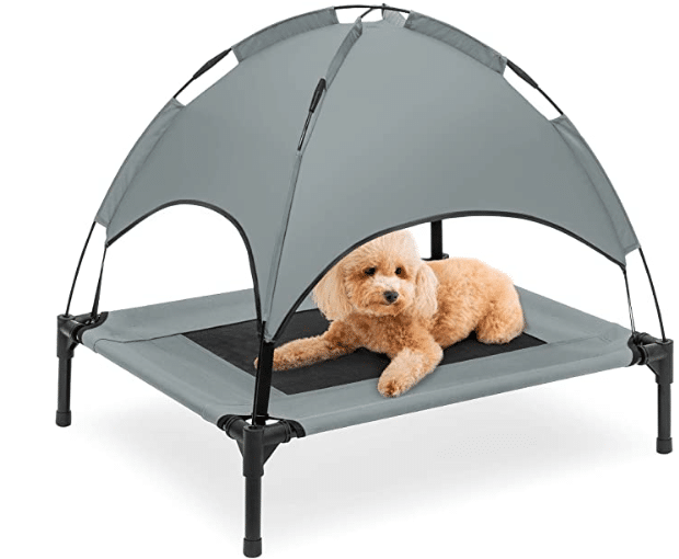 Best Choice Elevated Dog Bed With Canopy