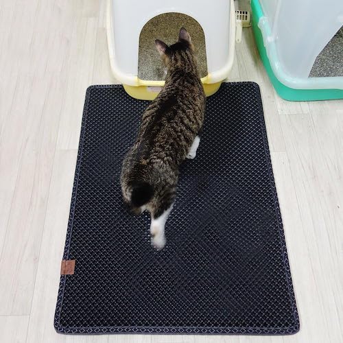 A striped cat standing on a black cat litter mat and looking into a litter box.