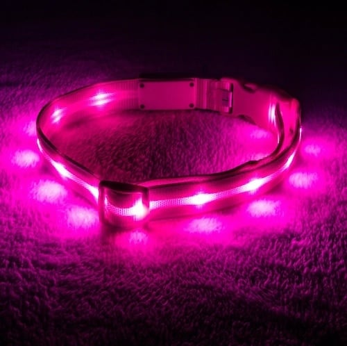 Light-up pink dog collar