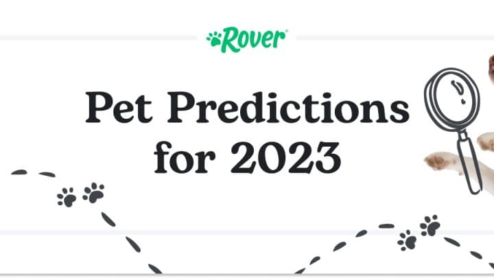 A white background with a dog and cat. Black text that says: Pet Predictions for 2023.