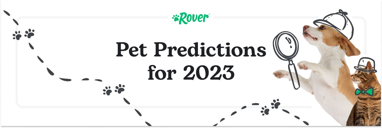 A white background with a dog and cat. Black text that says: Pet Predictions for 2023.