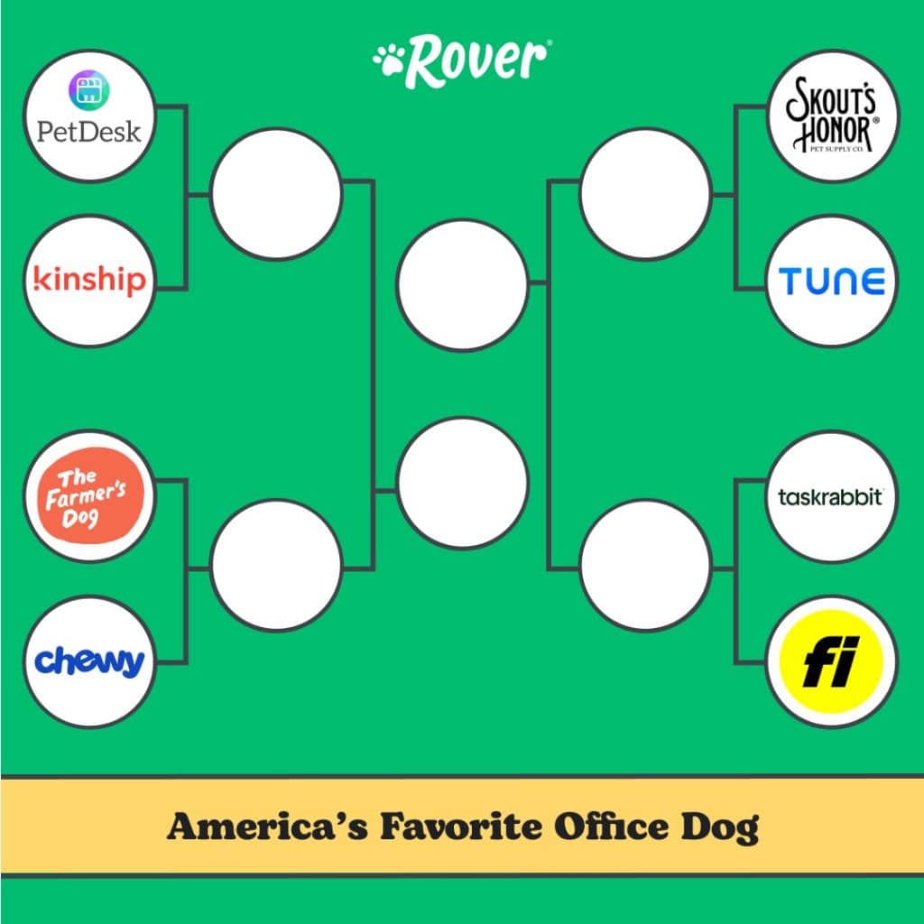 A bracket matching up dog-friendly companies for the title of "America's Favorite Office Dog"