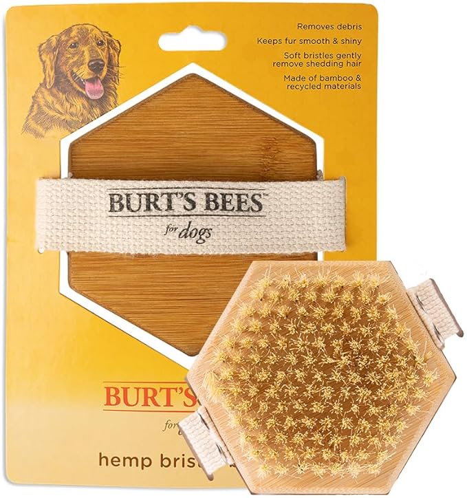Burt's bees palm bristle brush for puppies