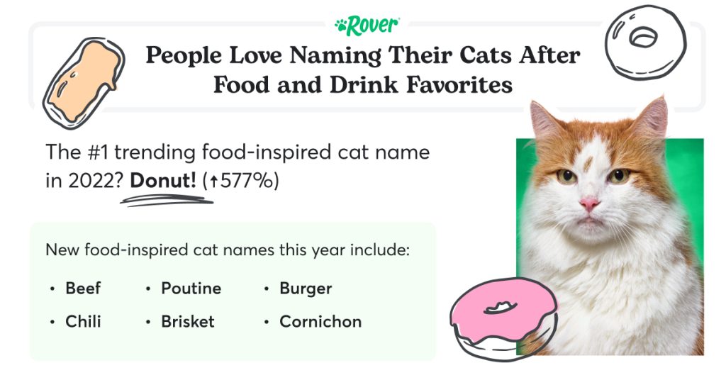 Black text stating: "People Love Naming Their Cats After Food and Drink Favorites." A cat on a green background with donut illustrations.