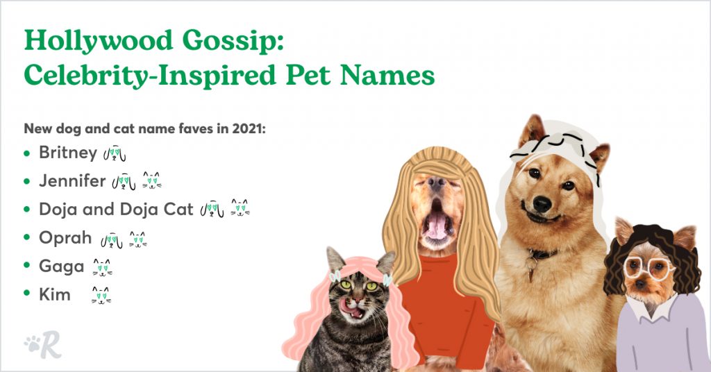 Celebrity-inspired dog names