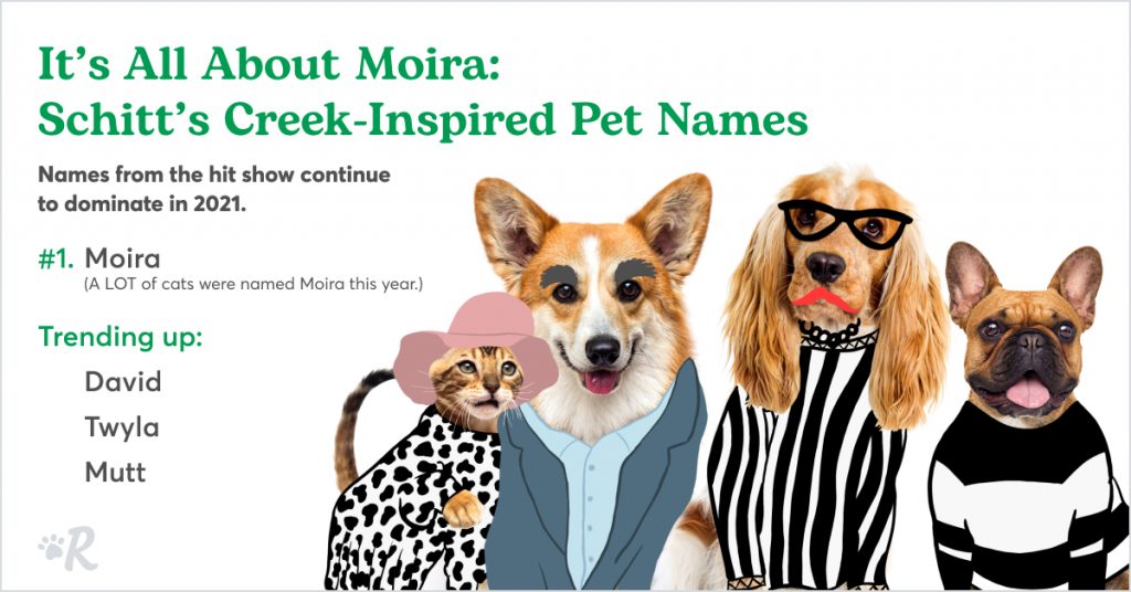 Schitt's Creek-inspired pet names