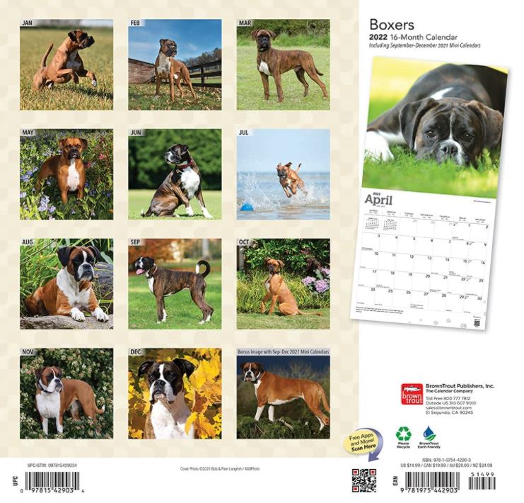 Calendar Boxer Dog Gift