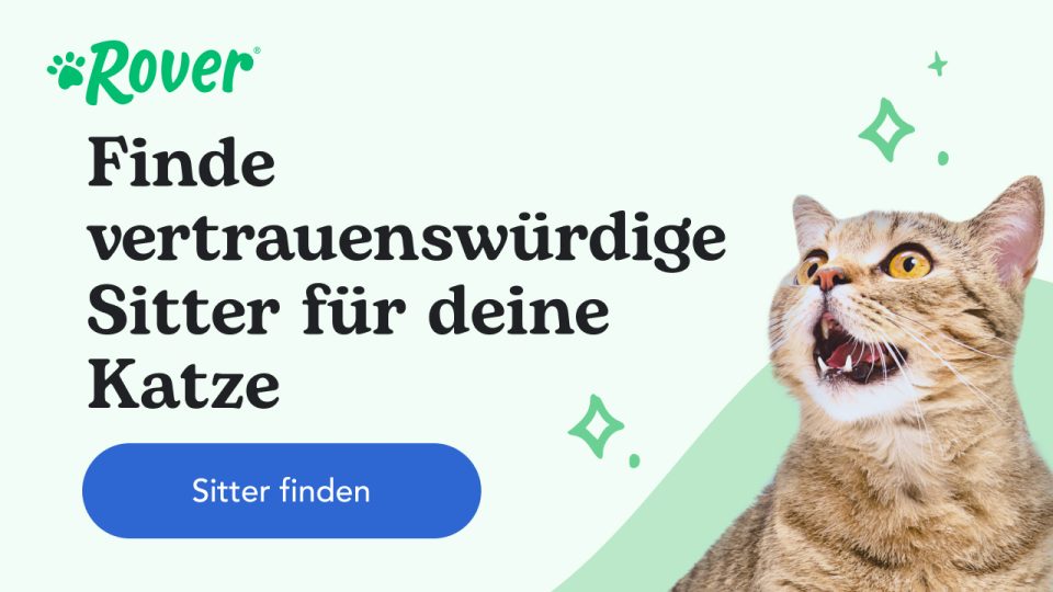 Wie lange können Katzen ohne Futter auskommen? Und 11 Gründe, warum deine Katze nicht frisst