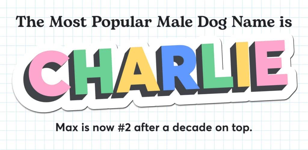 Graphic describing Most Popular Dog Names in USA: Charlie