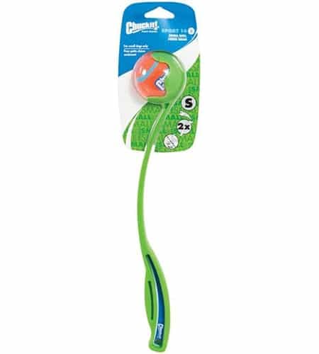 green Chuckit Sport ball launcher with orange ball toy for Boston Terrier play