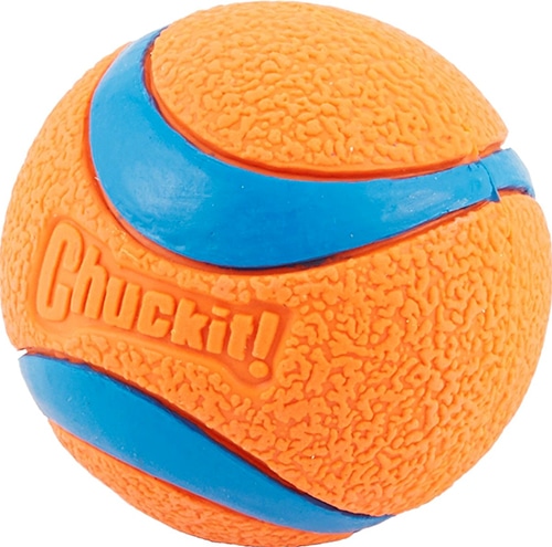 orange with blue stripes Chuckit! rubber ball for small dogs