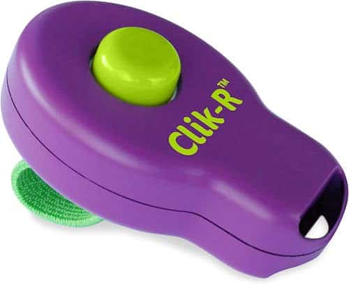 Purple and lime green plastic dog training clicker. 