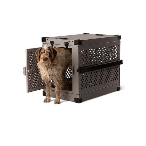 A shaggy dog standing in a heavy duty impact dog crate