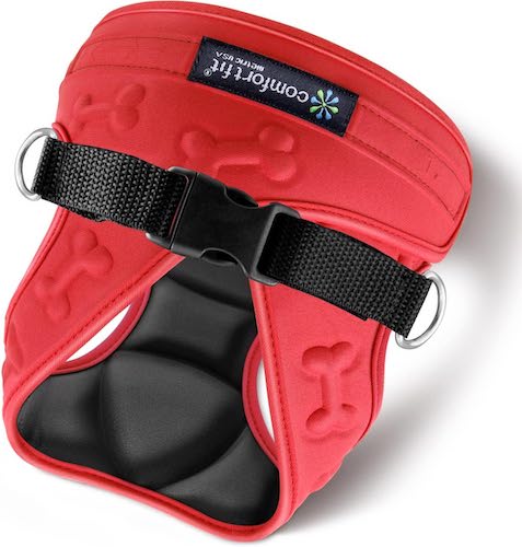 Red and black small dog harness. 