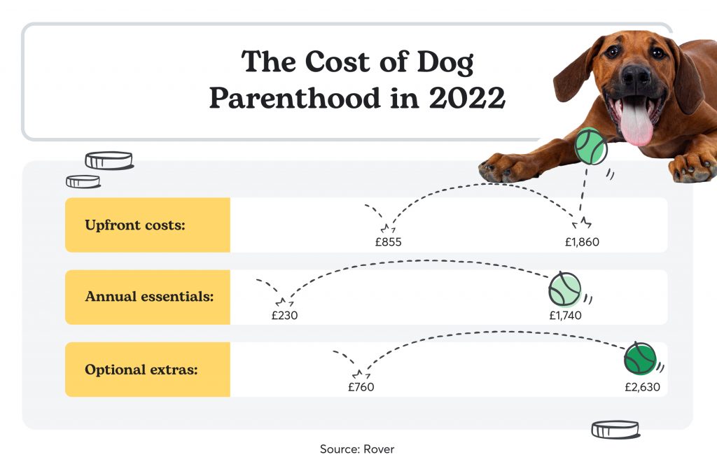 The cost of pet parenthood